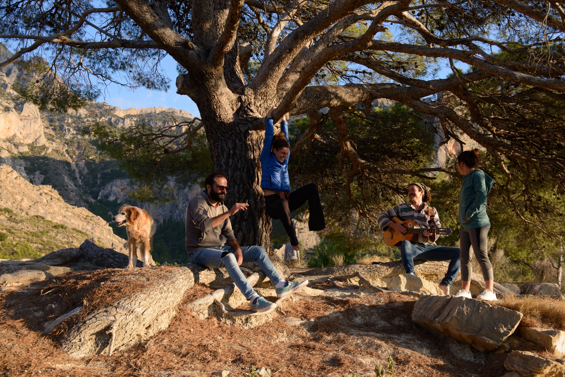 Mountain Picnic