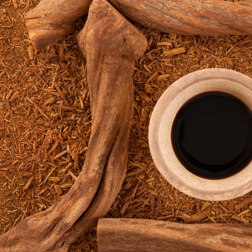 Ayahuasca Retreat